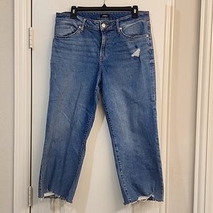 Express 90s ankle jeans